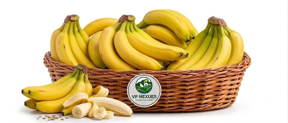 Banana Robusta